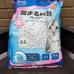 猫　キャット　トイレ　砂
の画像