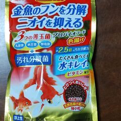 金魚セット無料でお譲りします!!の画像