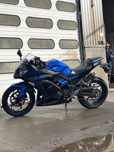 希少カワサキ 250TR 希少！廃盤品 カワサキ250TR ナイトロヘッズ