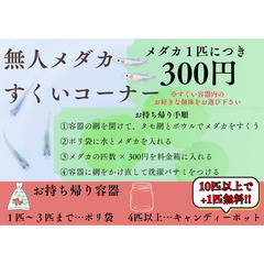 板橋区 めだか無人販売所 お好きなメダカ1匹 300円〜 − 東京都