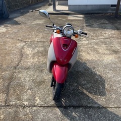 トゥデイAF67 インジェクション　絶好調の画像