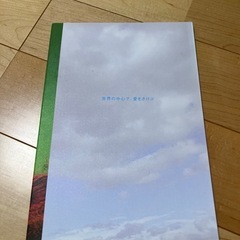 【最終値下】世界の中心で、愛をさけぶ！映画DVD・パンフ・マンガ　セットの画像