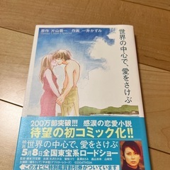 【最終値下】世界の中心で、愛をさけぶ！映画DVD・パンフ・マンガ　セットの画像