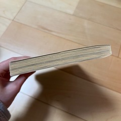【最終値下】世界の中心で、愛をさけぶ！映画DVD・パンフ・マンガ　セットの画像