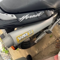 HONDA ホーネット250の画像