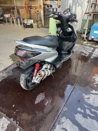 シグナス　シグナスx  2型