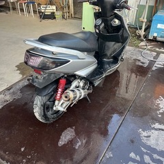シグナス　シグナスx  2型の画像