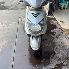 シグナス　シグナスx  2型の画像