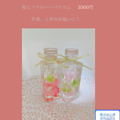卒業や入学祝いにいかがでしょう！桜とバラのハーバリウム！