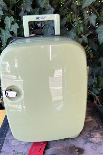 その他 Mosoo Skincare Fridge