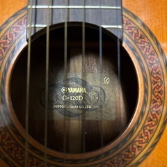 YAMAHA ギターの画像