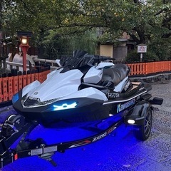 ウルトラ310LX