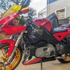 ビューエル Buell ファイアーボルト 赤 ‘06 XB12R (インチ工具、パーツ多数あり) ハーレー三拍子♪の画像
