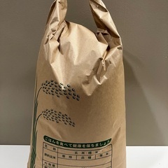 お米 令和6年度産 コシヒカリ 10キロ