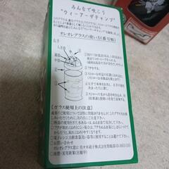 コカ・コーラオレオレグラス新品未使用品非売品の画像