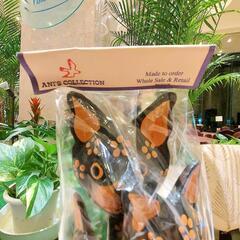 バリ島バリネコ🐈️🐾の画像