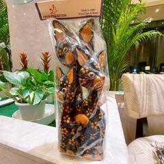 バリ島バリネコ🐈️🐾の画像