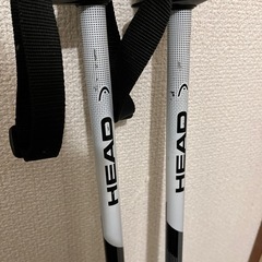 HEAD スキーストック Shape CX 115cmの画像