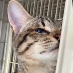 ❤️動画付き❤️片目の不自由さを感じさせない癒しっ子❤️