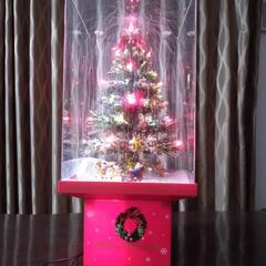クリスマスツリーの画像