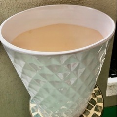 ①陶器植木鉢🪴の画像