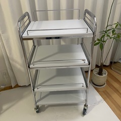 エステワゴン 特大サイズ
