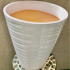 ③陶器の植木鉢🪴✨の画像