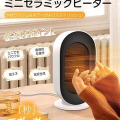 LAOGOT セラミックヒーター 小型 400W/600W ヒー...