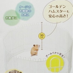 ハムスターサークル