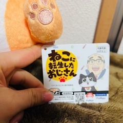 ねこに転生したおじさん　ぬいぐるみ２個セットの画像