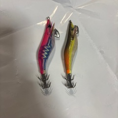エギの画像
