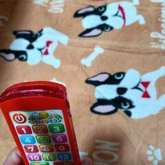 決まりました☆無料☆ぺんちゃんリモコンの画像