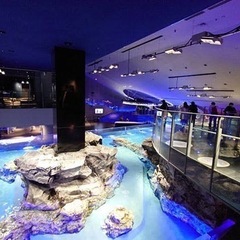 3/1(土)押上にてランチ会、水族館巡り行きませんか？ - 墨田区