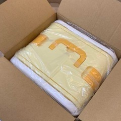 ディズニー　ウイングクーラーキャリーキューブ　新品の画像