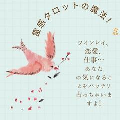 無料で占い鑑定致します