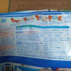 SS 小型犬　犬　マナーウェア　オムツ　男の子用　の画像