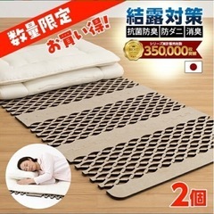 ※お譲り先決定※【無料】【未使用】すのこ型除湿マットはの画像