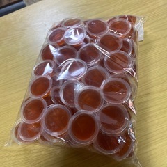 クワガタ・カブト虫のご飯