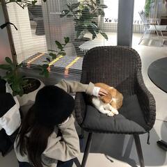 友達募集です。 - 松山市