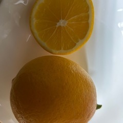 無農薬レモン