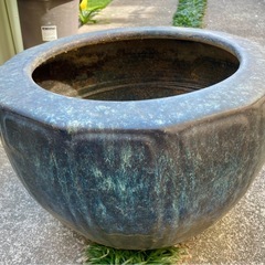 睡蓮鉢　火鉢