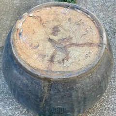 睡蓮鉢　火鉢の画像