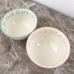 子供茶碗2つセット
