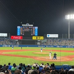 2025シーズン水曜日1部リーグ補強。世田谷区品川区活動、無料につき気軽に参加して下さい‼️    プロ野球バックネット裏無料招待特典あり‼️  - スポーツ