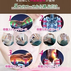 【値下げ】骨盤シェイプエアープレミアムの画像