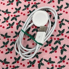 3/1 20時に 二俣川駅か三ツ境駅　美品　Apple純正　Ap...