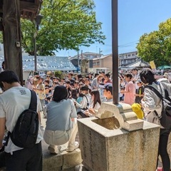 🌸2025花まつりフリマ🌸5月4日（日）　真宗寺＆白山神社 - フリーマーケット