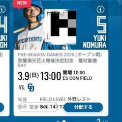 3/9 エスコン　中日戦　外野1階席　2枚
