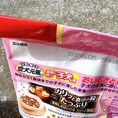 ⑤　新品未開封 4kg 子犬用 愛犬元気 ドッグフード 仔犬 こいぬの画像