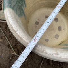 壺　花器　オブジェ　アンティーク　メダカ鉢　水槽の画像